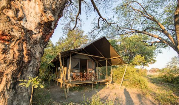Kadizora Camp: Okavango Delta, Botswana