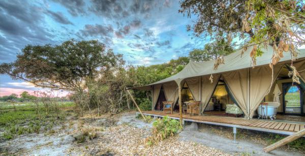 Kadizora Camp: Okavango Delta, Botswana