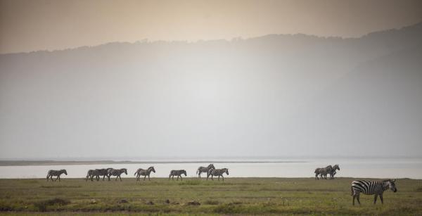 Elewana The Manor at Ngorongoro