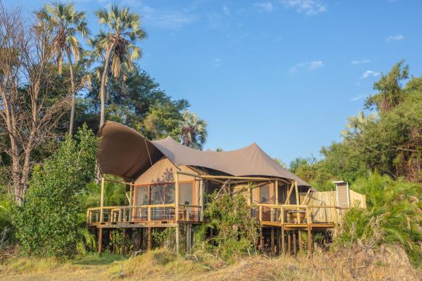 Jacana Camp: Okavango Delta, Botswana