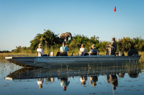 Jacana Camp: Okavango Delta, Botswana