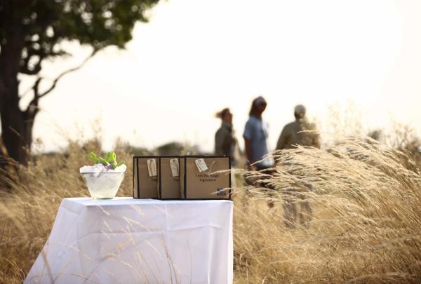 Sandibe Okavango Safari Lodge, Botswana