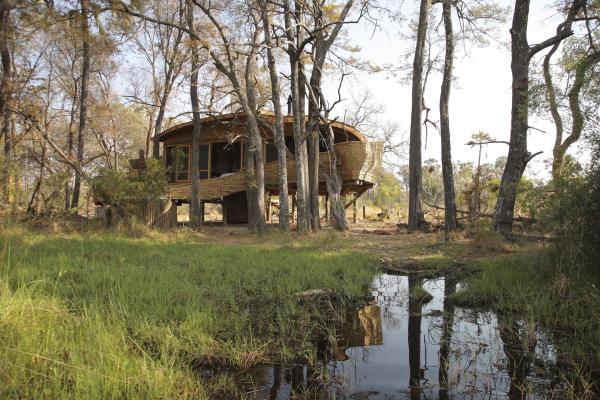 Sandibe Okavango Safari Lodge, Botswana