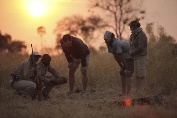 Sandibe Okavango Safari Lodge, Botswana