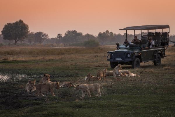 Chitabe Camp, Botswana