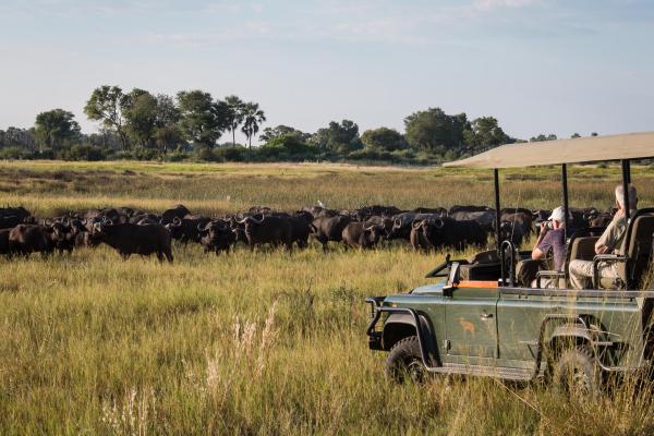 Chitabe Camp, Botswana