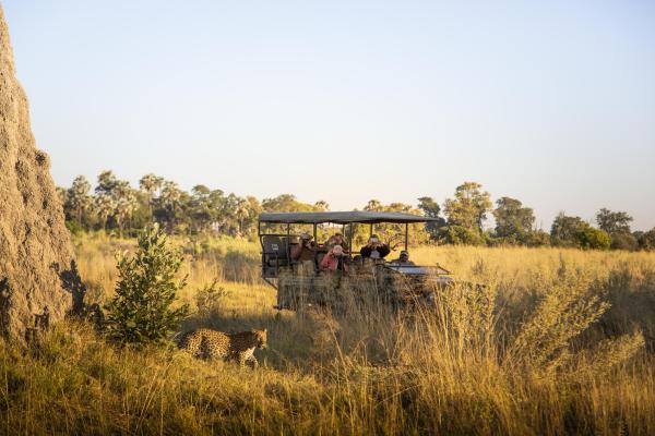 Chitabe Camp, Botswana