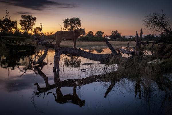 Chitabe Camp, Botswana