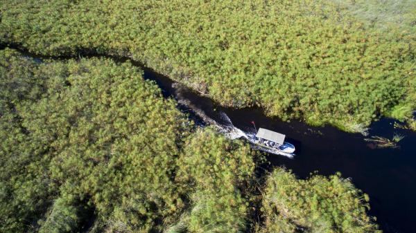 Nxabega Okavango Tented Camp, Botswana