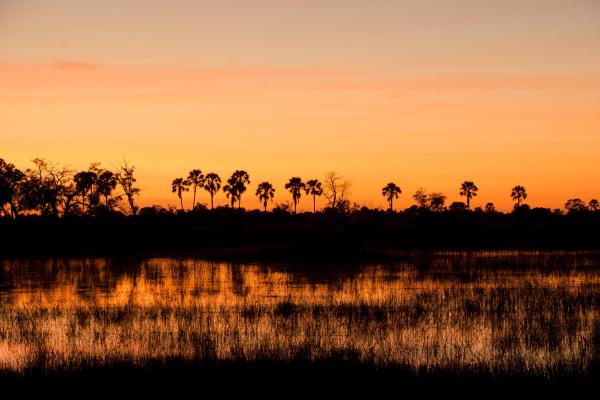 Nxabega Okavango Tented Camp, Botswana