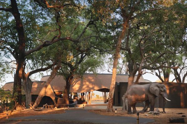 Belmond Eagle Island Lodge 