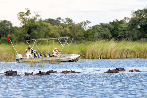 Camp Moremi | Okavango Delta