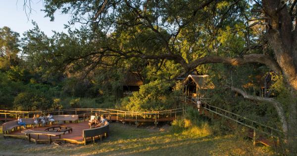 Camp Moremi | Okavango Delta