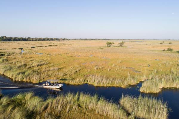 Camp Moremi | Okavango Delta