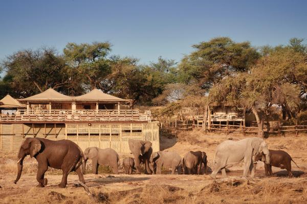 Savute Elephant Lodge