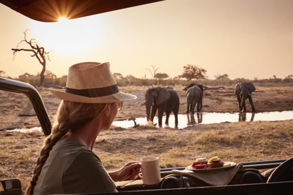 Savute Elephant Lodge