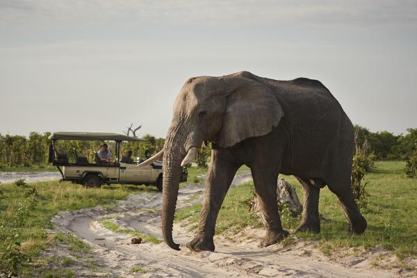 Savute Elephant Lodge