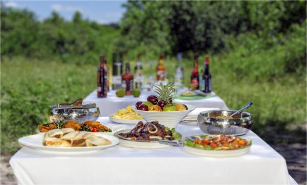 Ngoma Safari Lodge