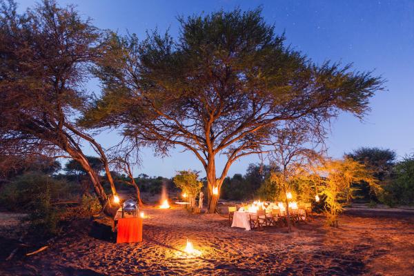 Leroo La Tau | Mkgadikgad | Botetsi River