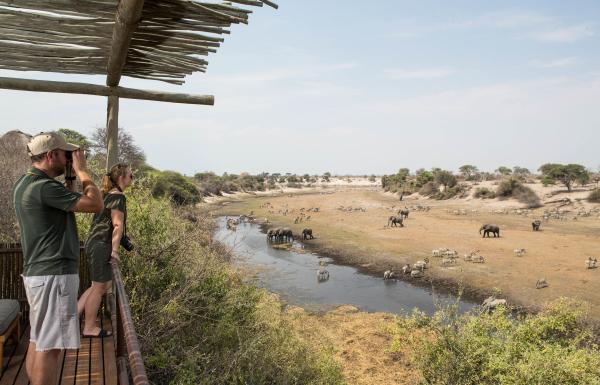 Leroo La Tau | Mkgadikgad | Botetsi River