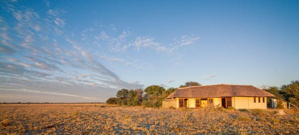 Nxai Pan Camp 