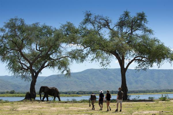 Nyamatusi Camp