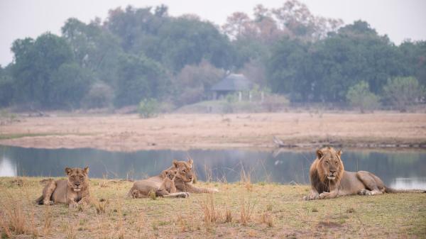 Chikwenya Camp