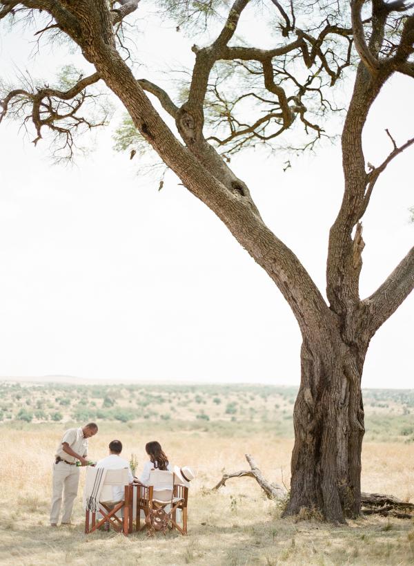 Serengeti Bushtops Camp