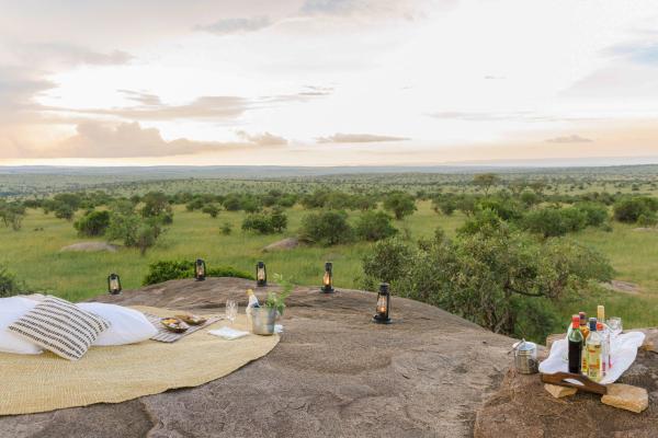 Serengeti Bushtops Camp