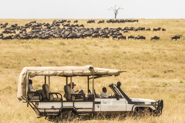 Serengeti Bushtops Camp