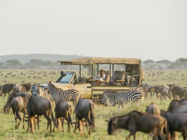 Serengeti Bushtops Camp