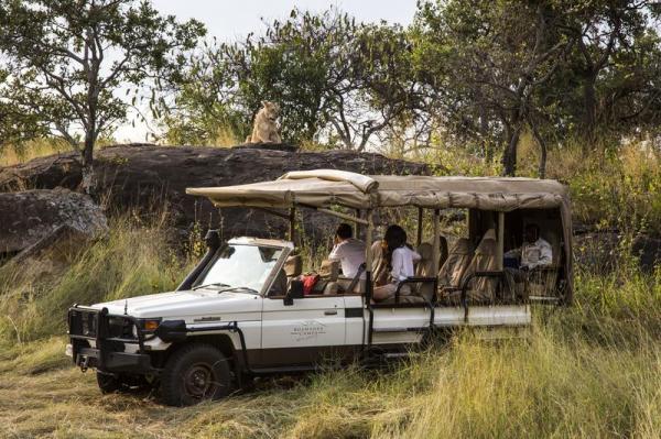 Serengeti Bushtops Camp