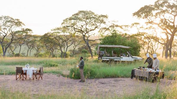 Serengeti Bushtops Camp
