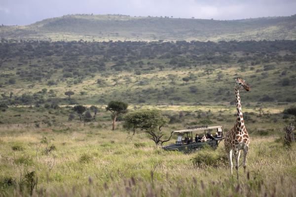 Loisaba Lodo Springs