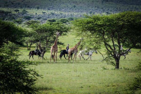 Ol Donyo Lodge