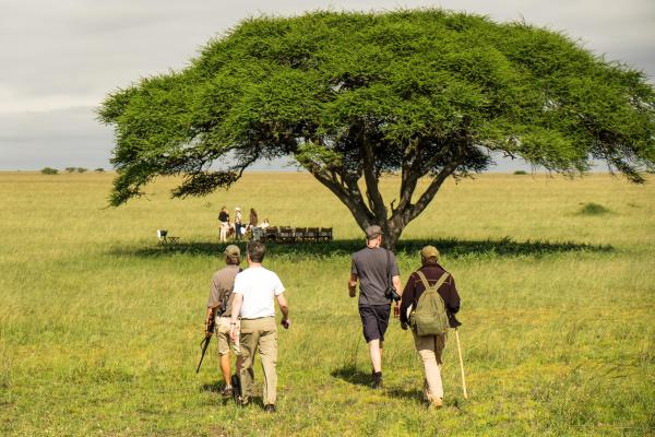 Ol Donyo Lodge