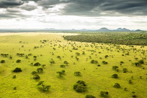 Ol Donyo Lodge