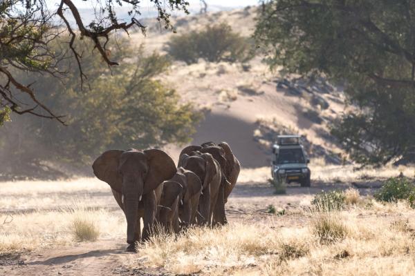 Wilderness Damaraland Camp