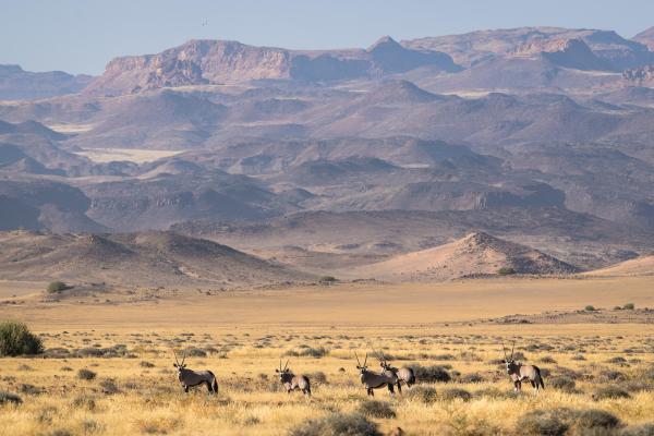 Wilderness Damaraland Camp