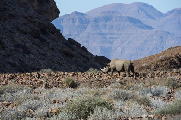 Wilderness Damaraland Camp