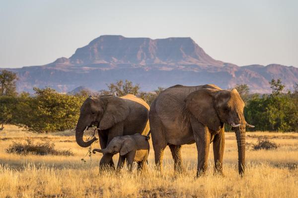 Wilderness Damaraland Camp