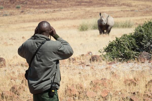 Wilderness Desert Rhino Camp