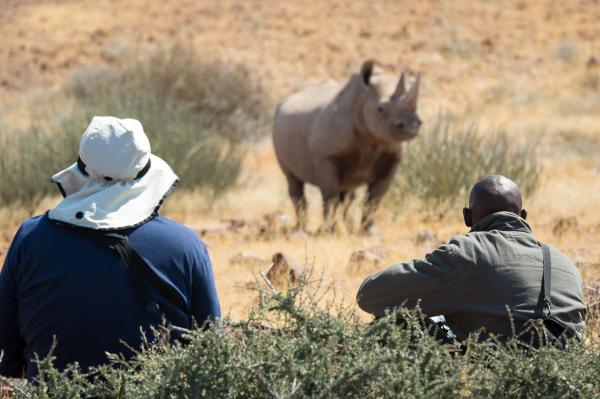 Wilderness Desert Rhino Camp