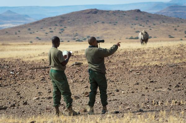 Wilderness Desert Rhino Camp