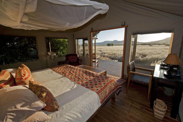 Wilderness Desert Rhino Camp