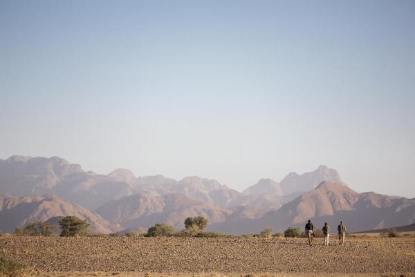 Little Kulala Lodge 