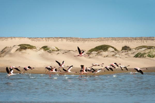 Hoanib Skeleton Coast Camp