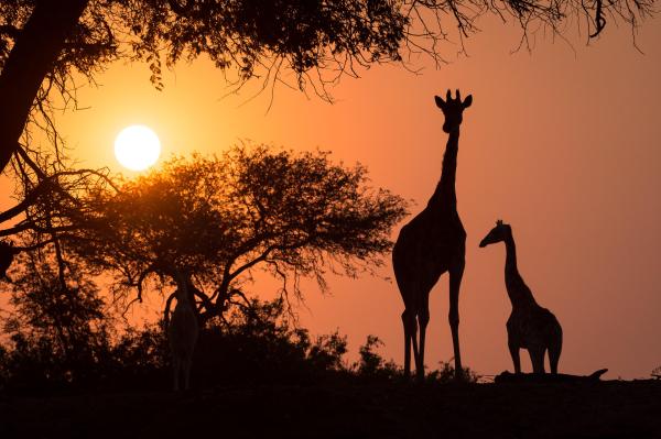 Hoanib Skeleton Coast Camp