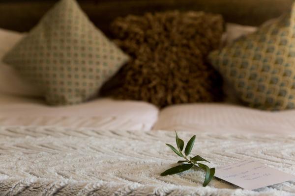 Olive Grove Guesthouse