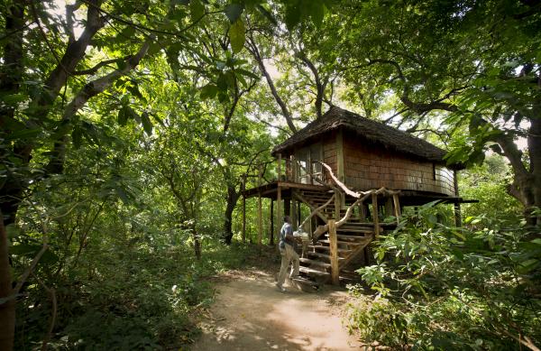 Lake manyara tree lodge